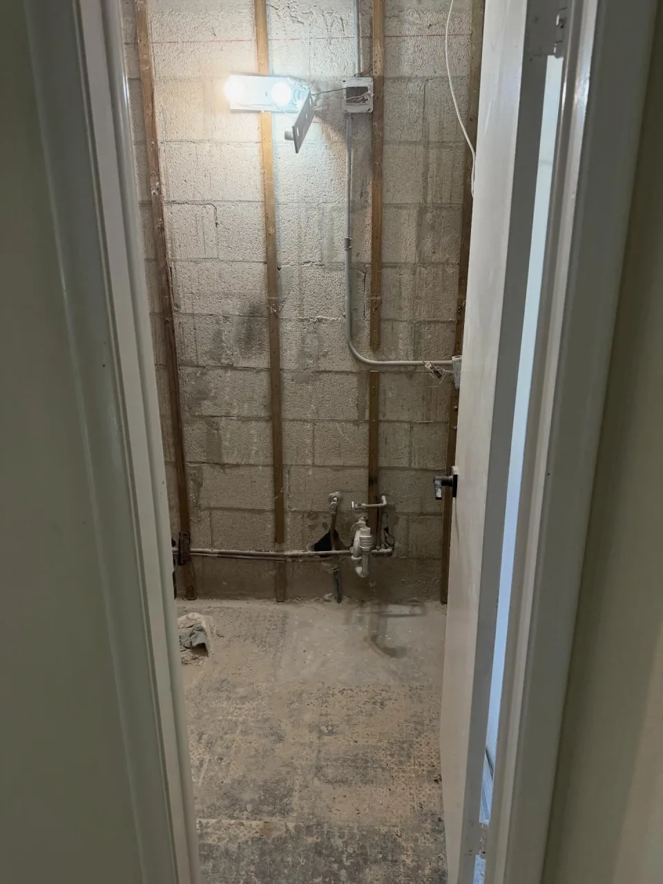 Shower gutted to the block wall and studs