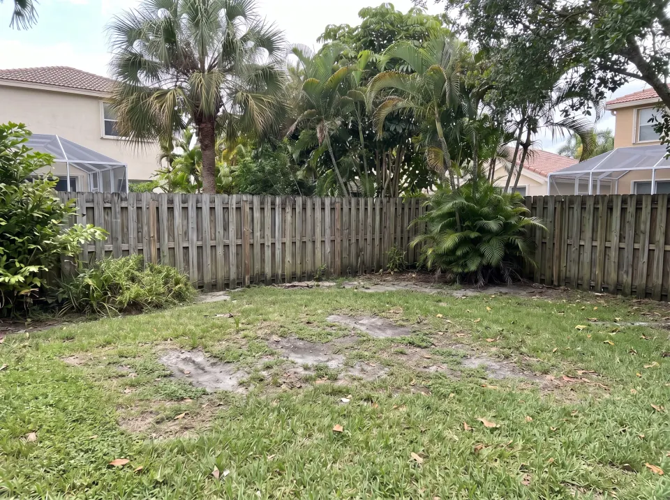 Illustration, after: the swing set and playhouse removed