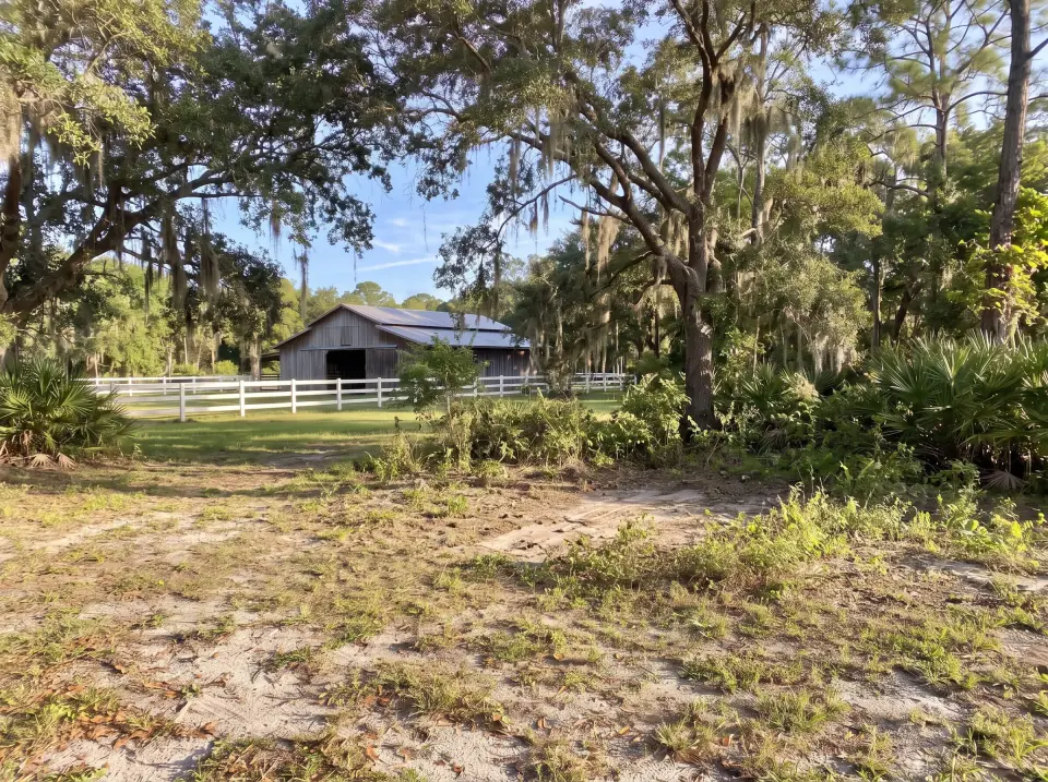 Illustration, after: the shed removed