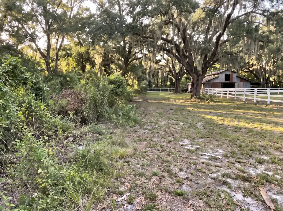 Illustration, after: the fence boards, rails and posts removed