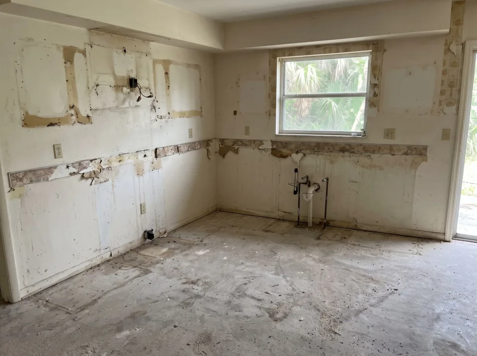 Illustration, after: the cabinets, counters, stove and breakfast bar removed