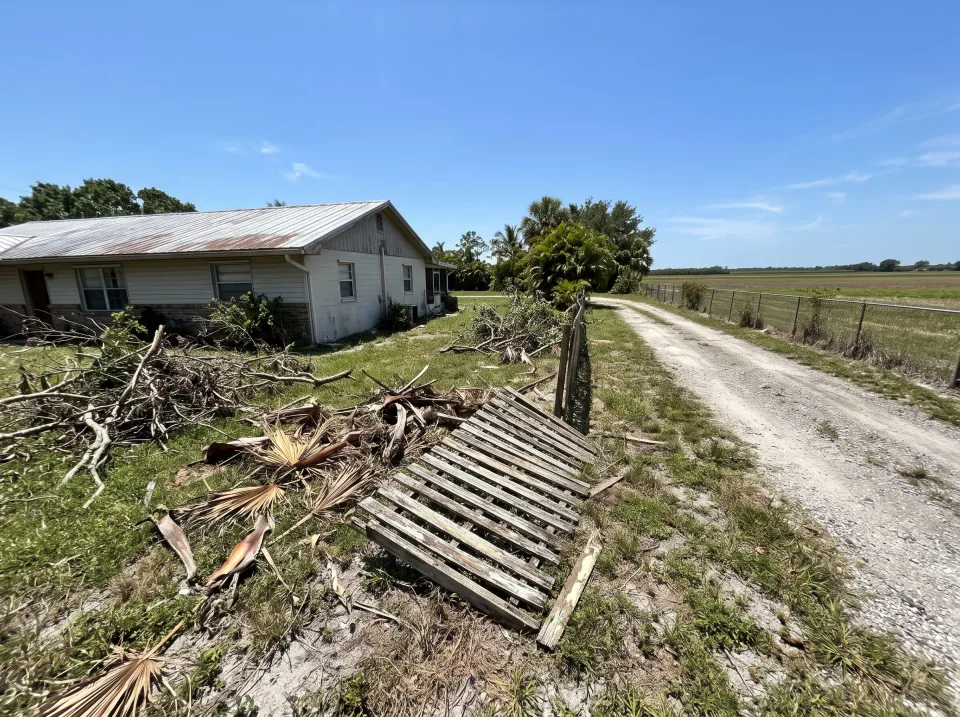 Illustration: a side yard full of storm-fallen branches, palm fronds and an old fence section on a South Bay property with farmland, a long gravel drive and a metal-roof house, clear midday sun