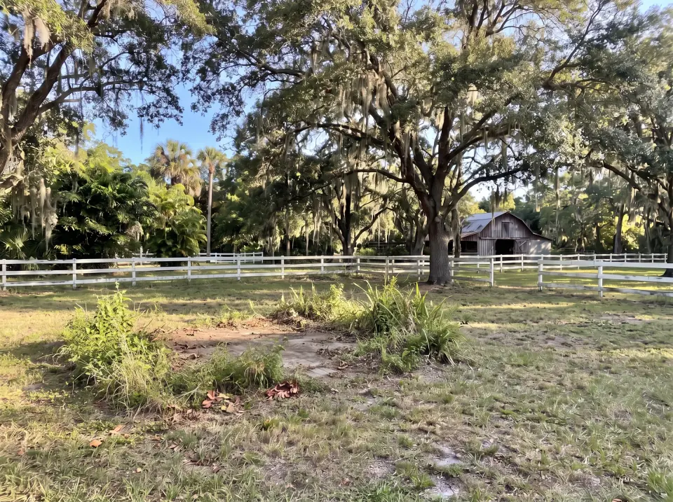 Illustration, after: the shed removed
