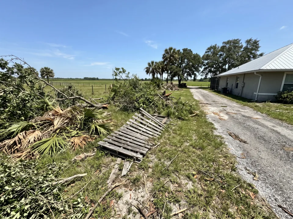 Illustration: a side yard full of storm-fallen branches, palm fronds and an old fence section on a Westlake property with farmland, a long gravel drive and a metal-roof house, clear midday sun