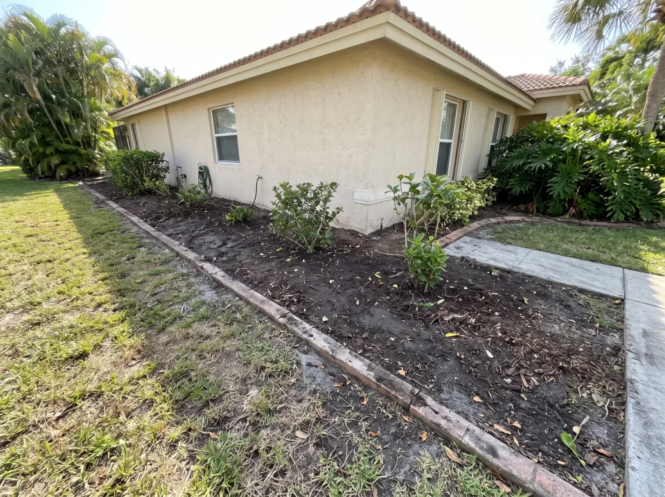 Illustration: a bare garden bed along the front of a South Florida house, dark soil, a few shrubs.
